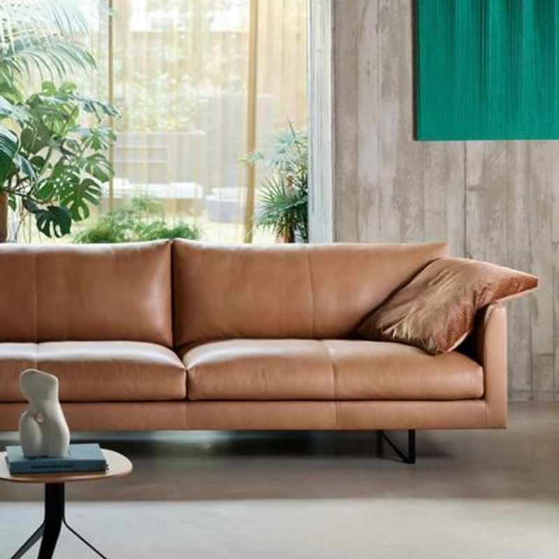 Montis Axel sofa B: 246 cm